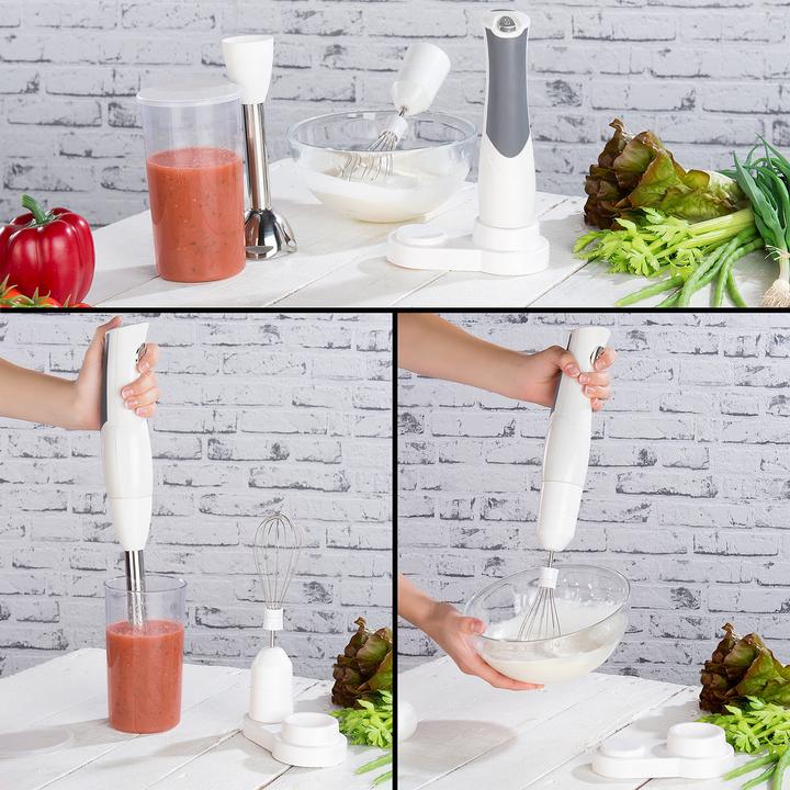 Actual product image Sichler Stainless steel cordless hand blender