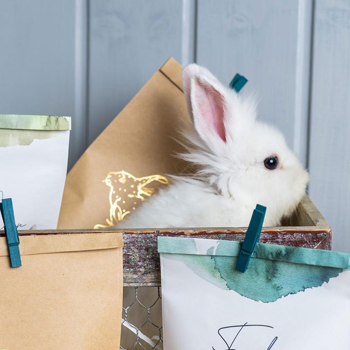 Produktbild Papierdrachen 12 bedruckte Geschenktüten zu Ostern (Geschenktüte, 12 x)
