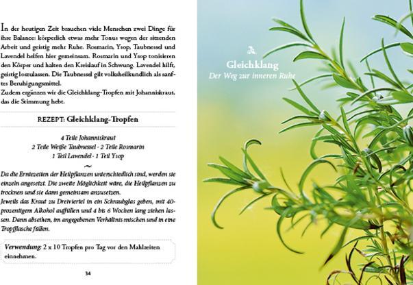 Image du produit Das kleine Buch: Vergessene Hausmittel (Allemand, Karin Buchart, 2024)