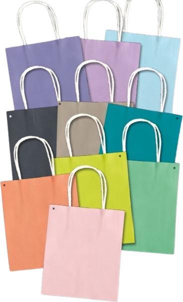 Image du produit Folia Sacs en papier (Pochette cadeau, 20 x)
