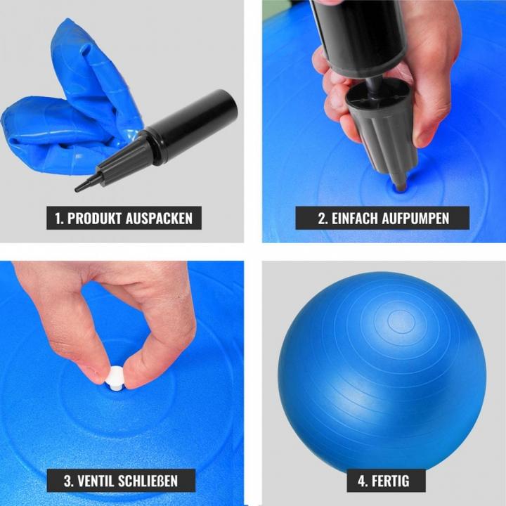 Actual product image Gorilla Sports Gymnastikball 355 (65 cm)