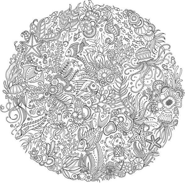 Actual product image My Fantastic Ocean