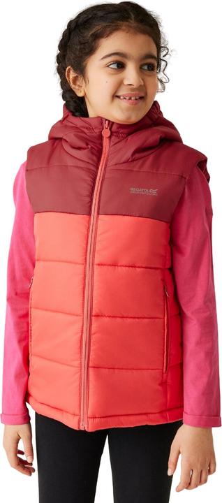 Actual product image Regatta Childrens/Kids Lofthouse II Gilet (104)