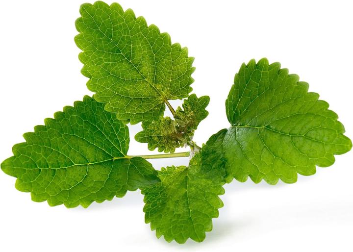 Actual product image Véritable Organic Peppermint (Herb seeds)