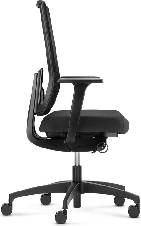 Immagine prodotto Dauphin 7056 SLP