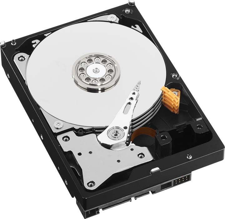 Actual product image WD Red Plus (1 TB, 3.5", CMR)