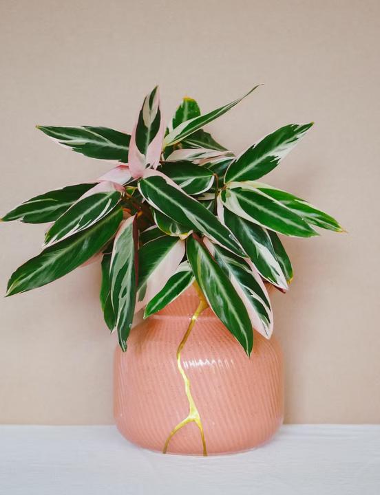 Immagine prodotto Mora Approved Kit di riparazione Kintsugi fai da te