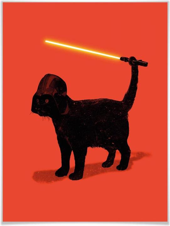 Image du produit Trenddeko Cat Vader (24 x 30 cm)