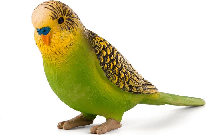 Image du produit Animal Planet Perruche