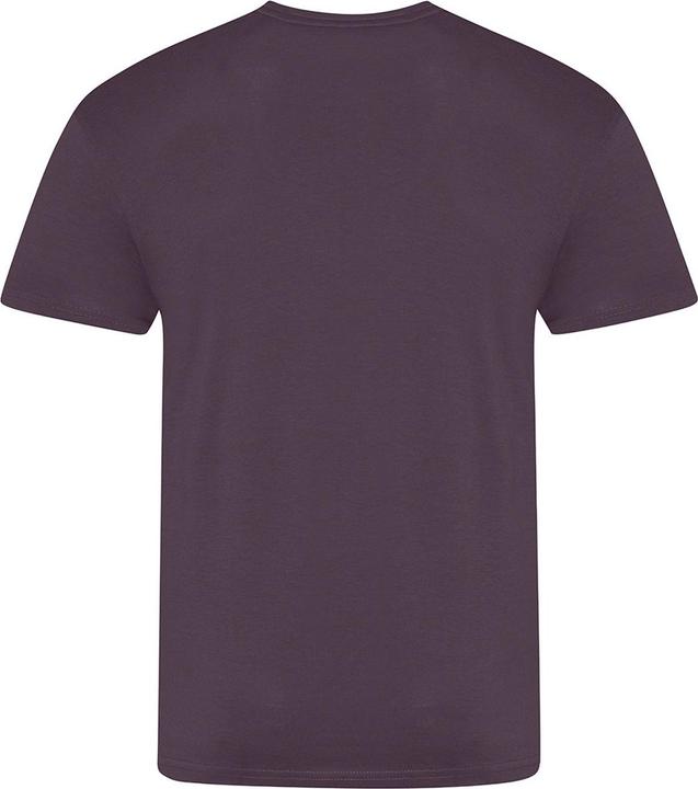Image du produit Awdis The 100 Tshirt (L)