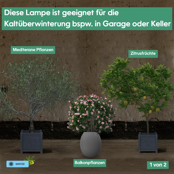 Produktbild Parus by Venso Pflanzenarmatur GrowLight Quattro 60W (LED, 245 V)