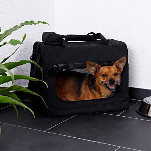 Actual product image Dibea Double Dog Transport Box (Cat, Dog, Breathable, Foldable)