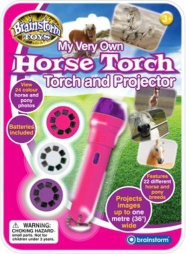 Actual product image Brainstorm Horse Torch and Projector