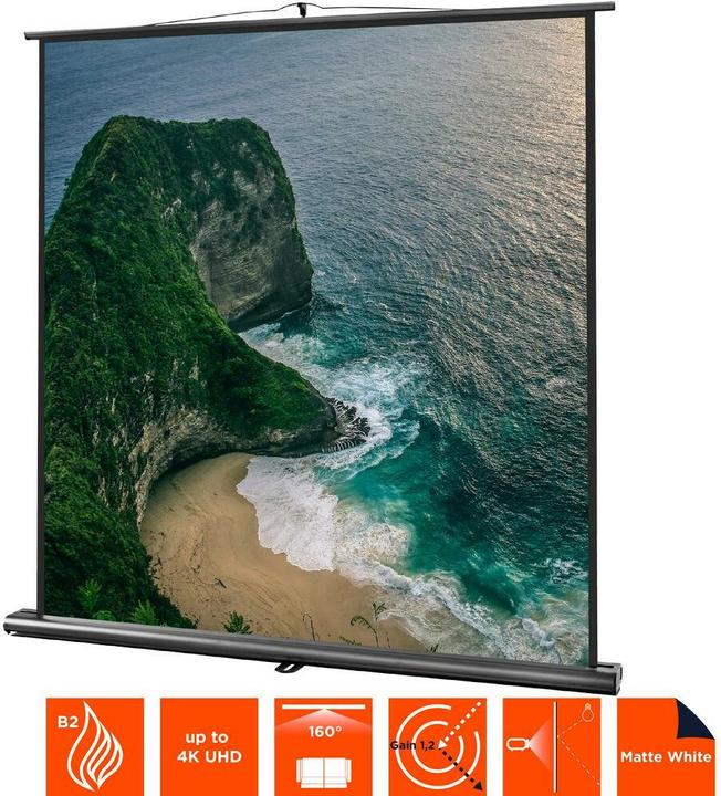 Produktbild Celexon Ultramobil Professional (87.99", 1:1)