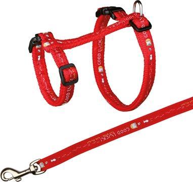 Produktbild Trixie Katzengeschirr mit Leine XL 34-57cm/13mm (XL, Katze, Allgemein)