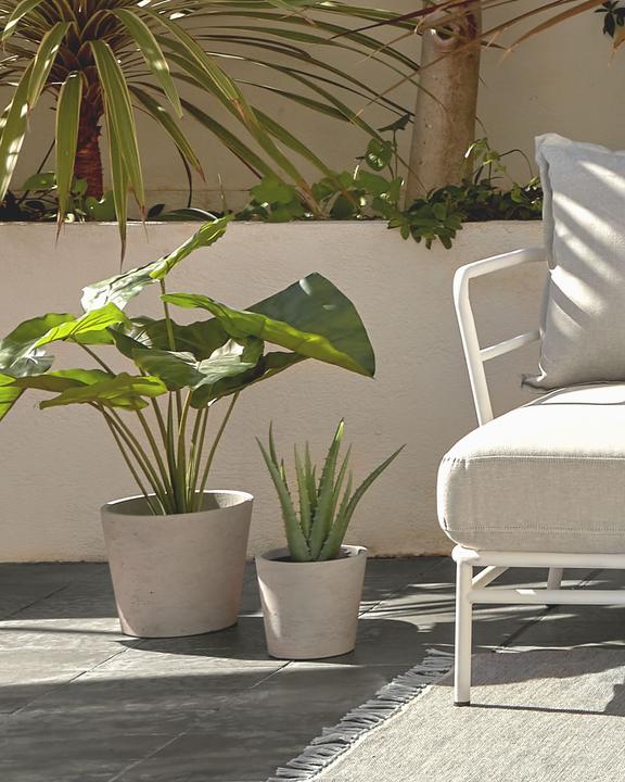 Image du produit Kave Home Alocasia Odora (57 cm)