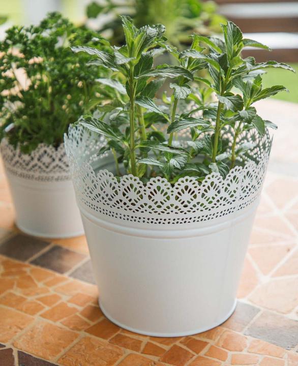 Image du produit Esmée Pot de fleurs, cache-pot avec pointes, tôle (20 cm)