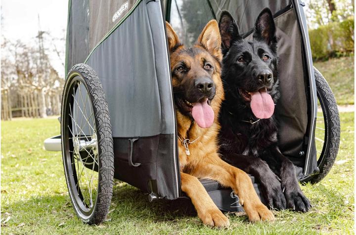 Image du produit Croozer Chien XXL