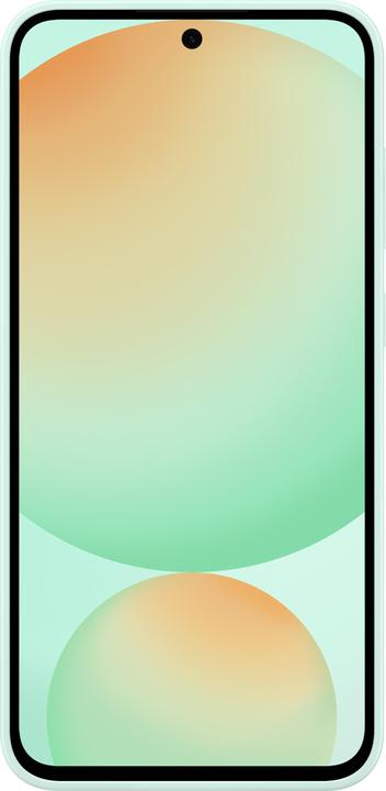 Image du produit Samsung Silicone Case (Samsung Galaxy S24 FE)
