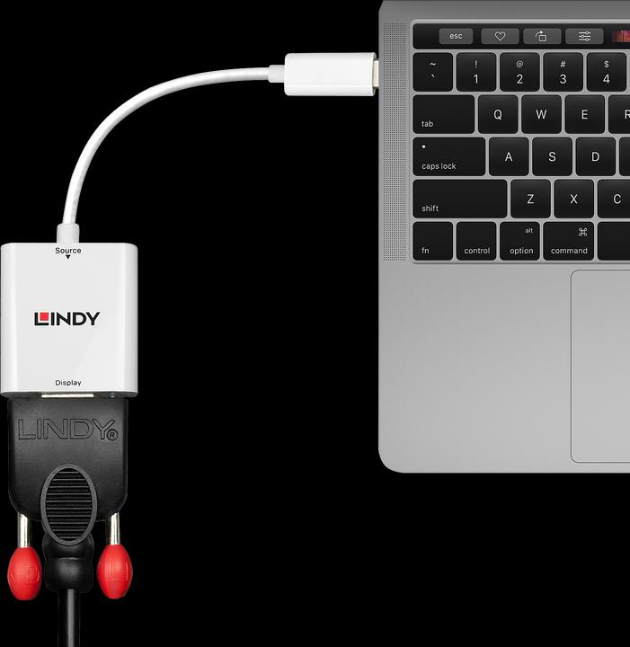 Image du produit Lindy USB de type C vers (VGA, 17 cm)