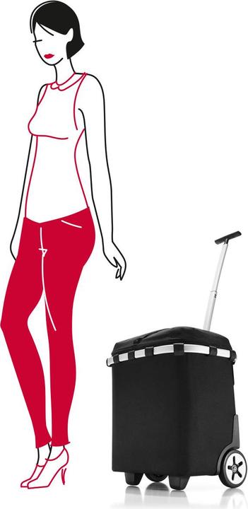 Image du produit reisenthel Carrycruiser Iso (40 l)