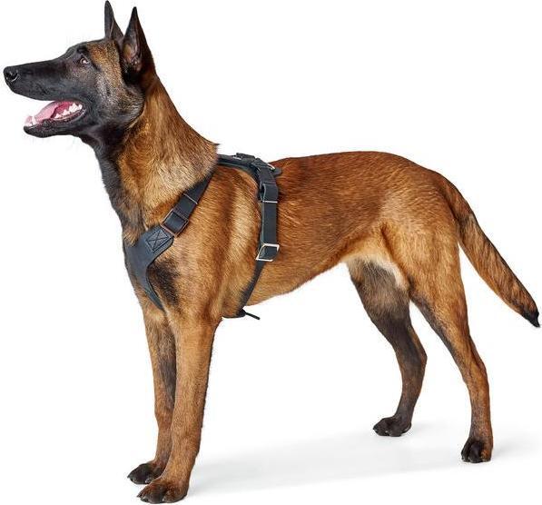 Actual product image Hunter Tableware Aalborg (2, Dog, General)
