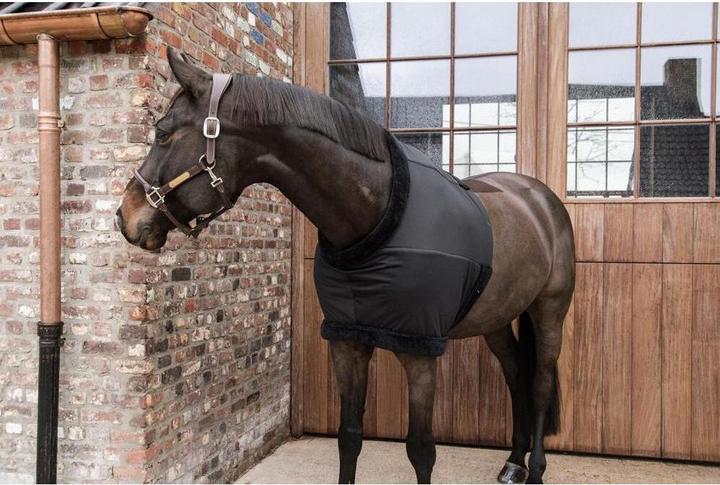Produktbild Kentucky Horsewear Brustschutz