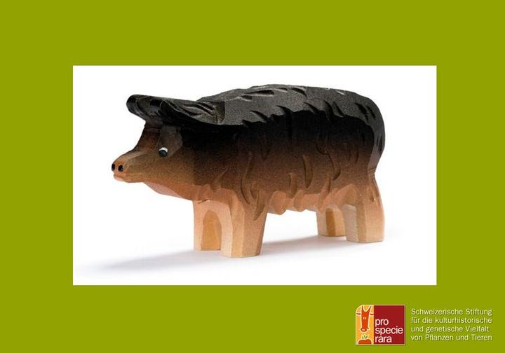 Actual product image Trauffer Wool pig big