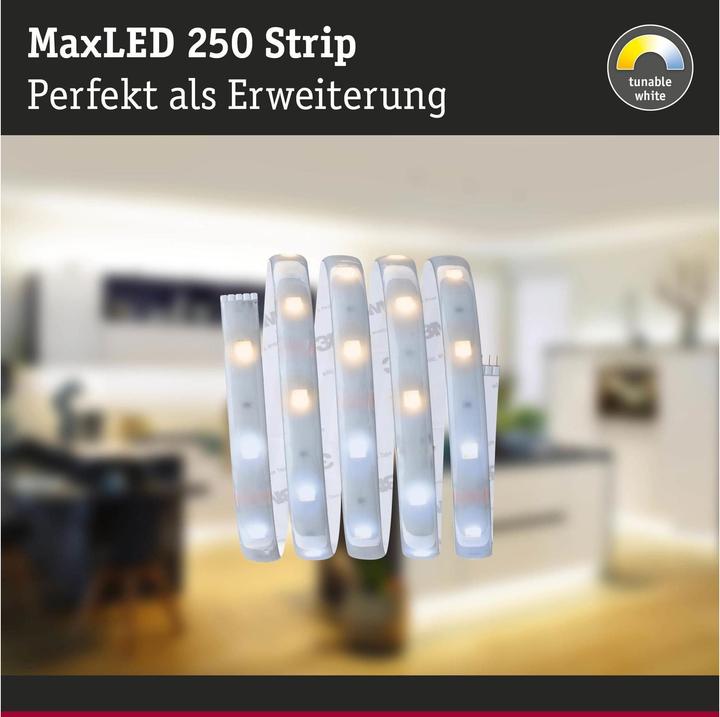 Actual product image Paulmann MaxLED 250 Stripe (White, 100 cm, Indoor)