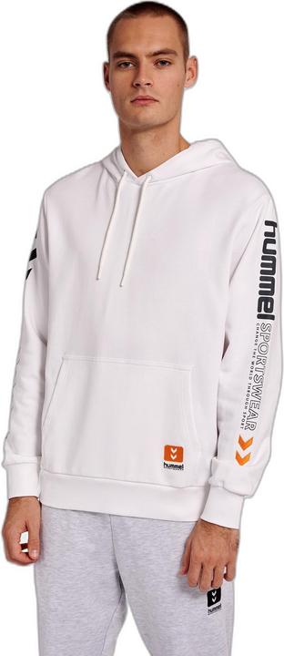 Actual product image hummel Lgc Birk Hoodie (XS)