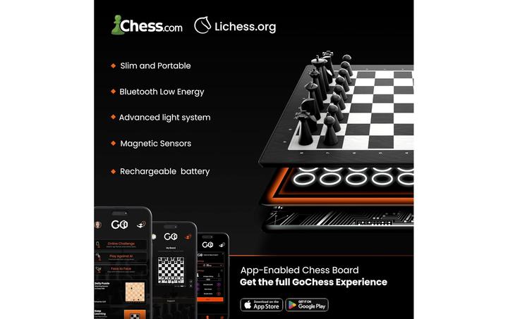 Image du produit Particula GoChess Mini
