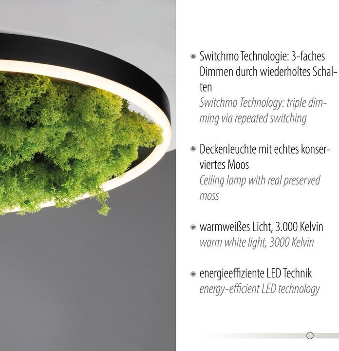 Actual product image Leuchten Direkt Green Ritus (2650 lm)