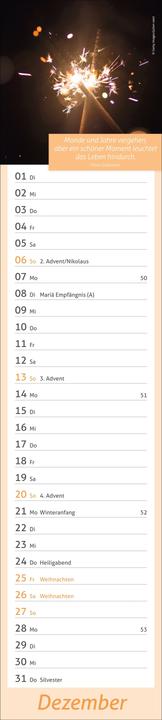 Produktbild times&moreTagevollerGlückLangplaner2026 (11 x 49 cm, Deutsch)