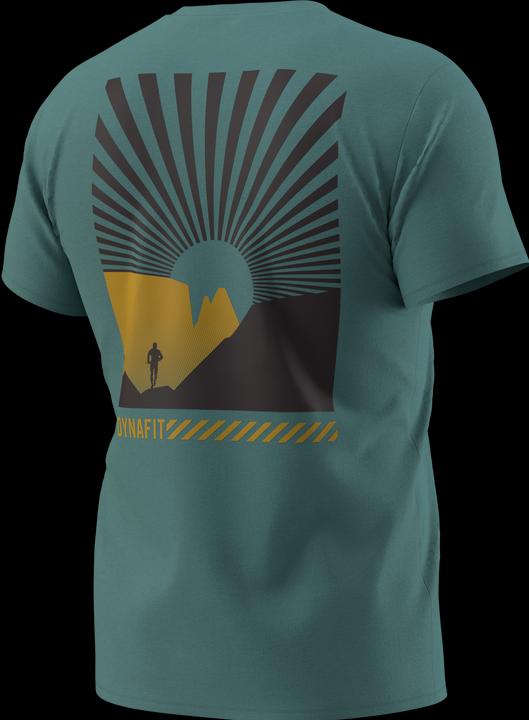 Actual product image Dynafit 24/7 Graphic T-Shirt (M)