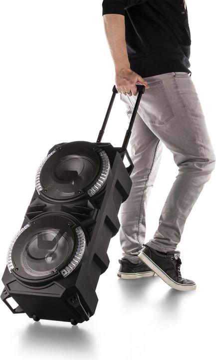 Immagine prodotto Fenton Stazione Karaoke LIVE280 (Attivo, 1x 900 W)