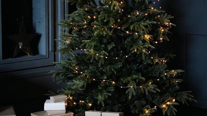 Actual product image Hombli Smart Christmas light (20 m)
