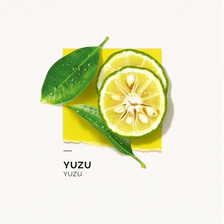 Image du produit Solinotes Paris Solinotes - Yuzu Eau De Parfum (Eau de parfum, 50 ml)