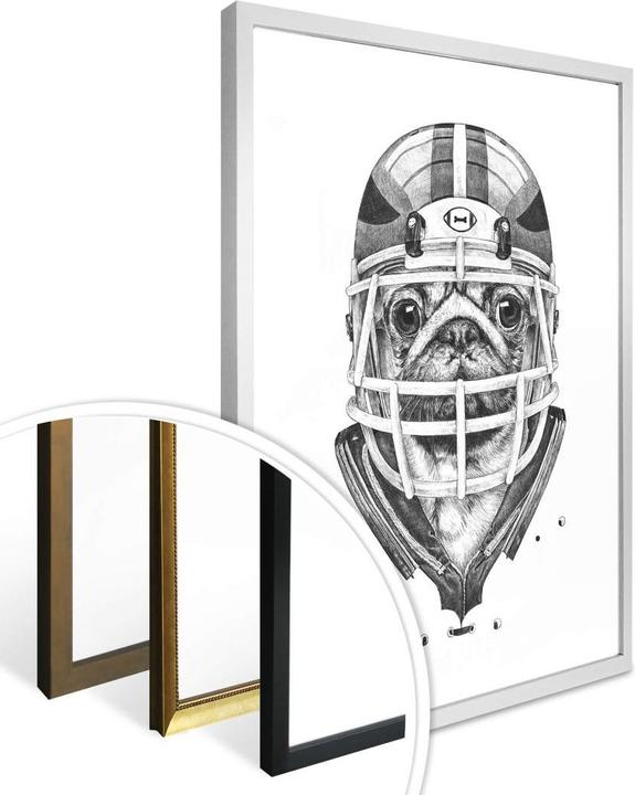 Produktbild Trenddeko American Pug Football (24 x 30 cm)