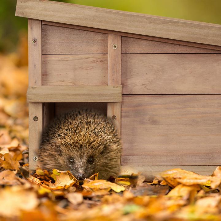 Actual product image Relaxdays Hedgehog House (Digger wasps, Bee)