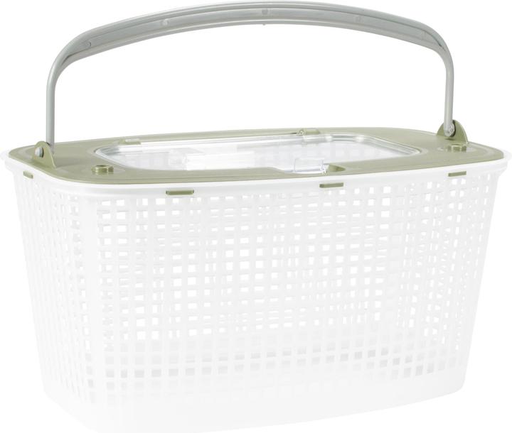 Actual product image Caperlan Livebait