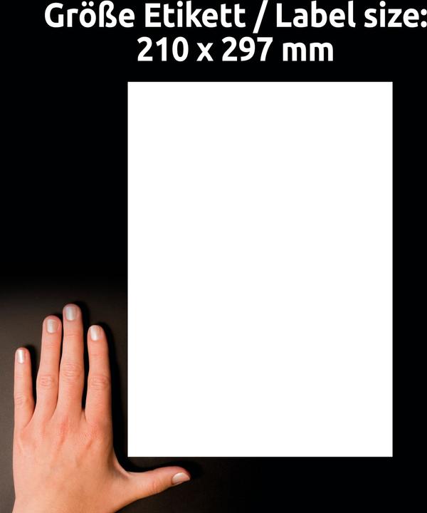 Produktbild Avery AVZ L8001-10 Antimikrobielle Etiketten 210x297mm weiss