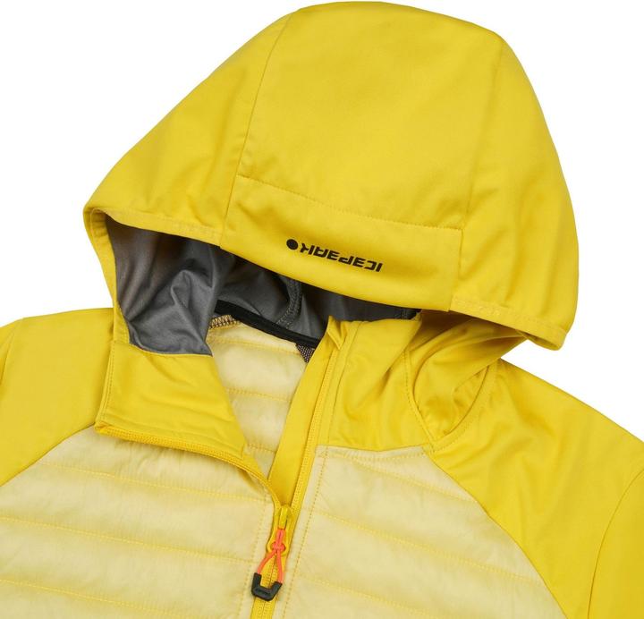 Immagine prodotto Icepeak Deerton (46)