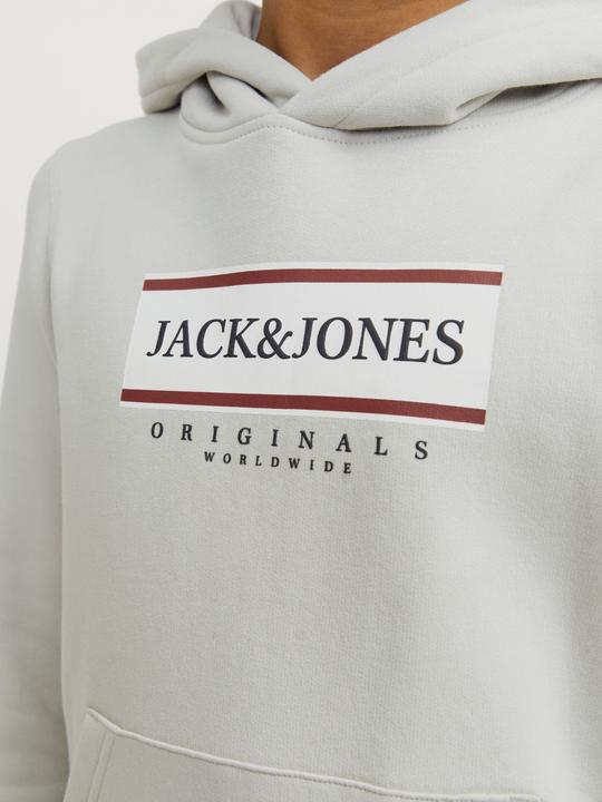 Image du produit Jack & Jones Jorfrederiksberg Box Sweat Hood Sn Jnr (140)
