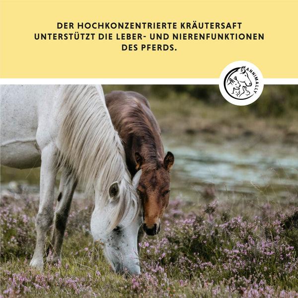 Produktbild Annimally Leber-Nieren Liquid (1 x, 1000 g)