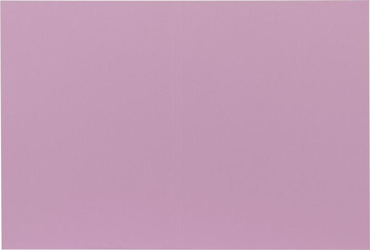 Immagine prodotto Biella Cartella verticale Recycolor 0253427.41 32x23,3/24,3cm, viola 100 pz. (A4, 100 x)