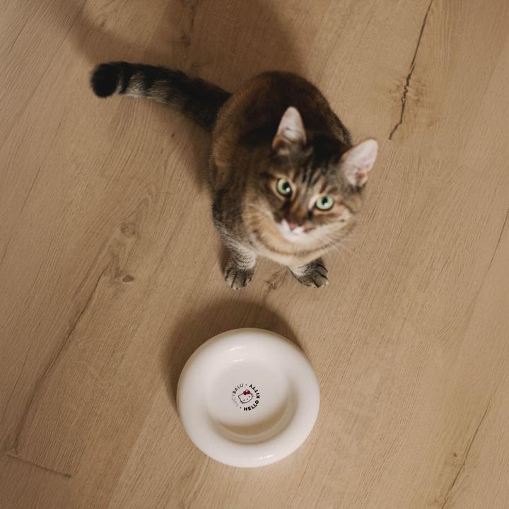 Produktbild LucyBalu DROP Katzennapf - Hello Kitty Edition