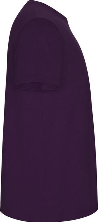 Image du produit Alpinia - T-shirt STAFFORD - Homme (3XL)