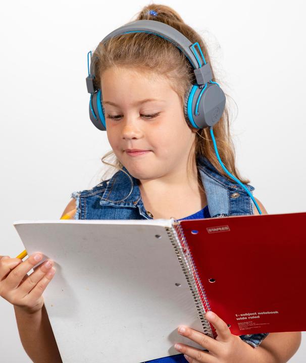 Actual product image JLab Audio JBuddies