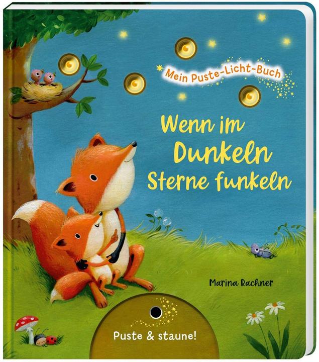Produktbild Mein Puste-Licht-Buch: Wenn im Dunkeln Sterne funkeln (Deutsch, Christina Nömer, 2020)