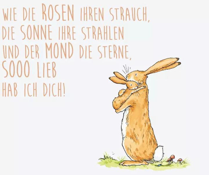 Produktbild Weisst du eigentlich, wie lieb ich dich hab? (Harter Einband, Deutsch)